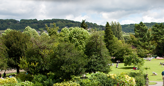 Business English UK: Bath Academy